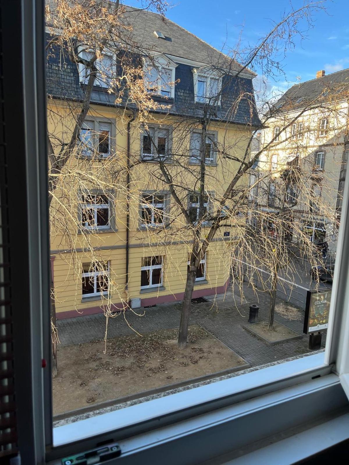 Maison Diane Cosy A Centre Parking A 50m Colmar